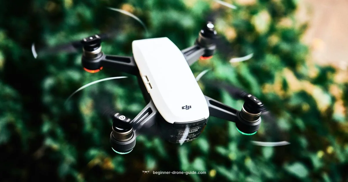 Starter FPV Guide - Beginner Drone Guide