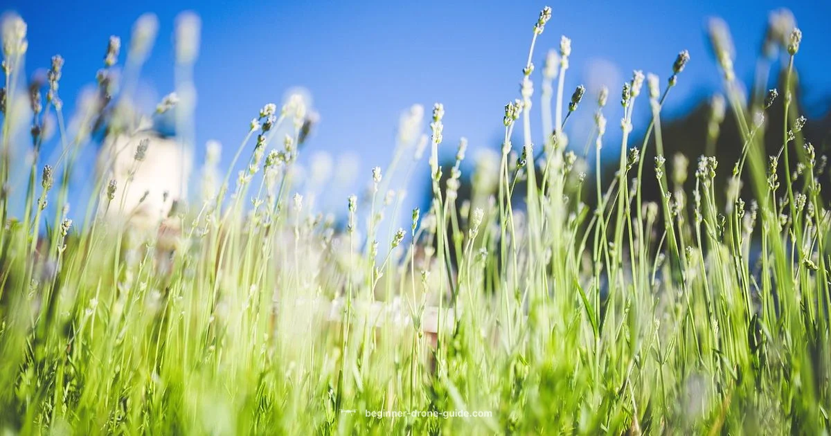 Registration Basics - Beginner Drone Guide