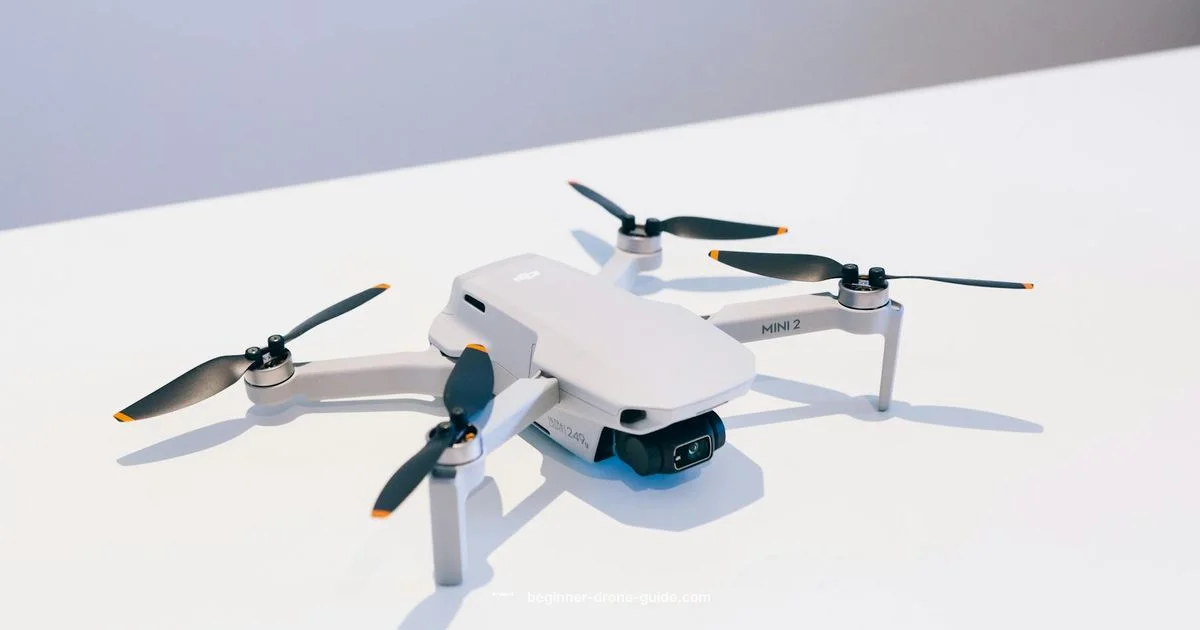 Drone Buying Guide Drone Buying Guide - Beginner Drone Guide
