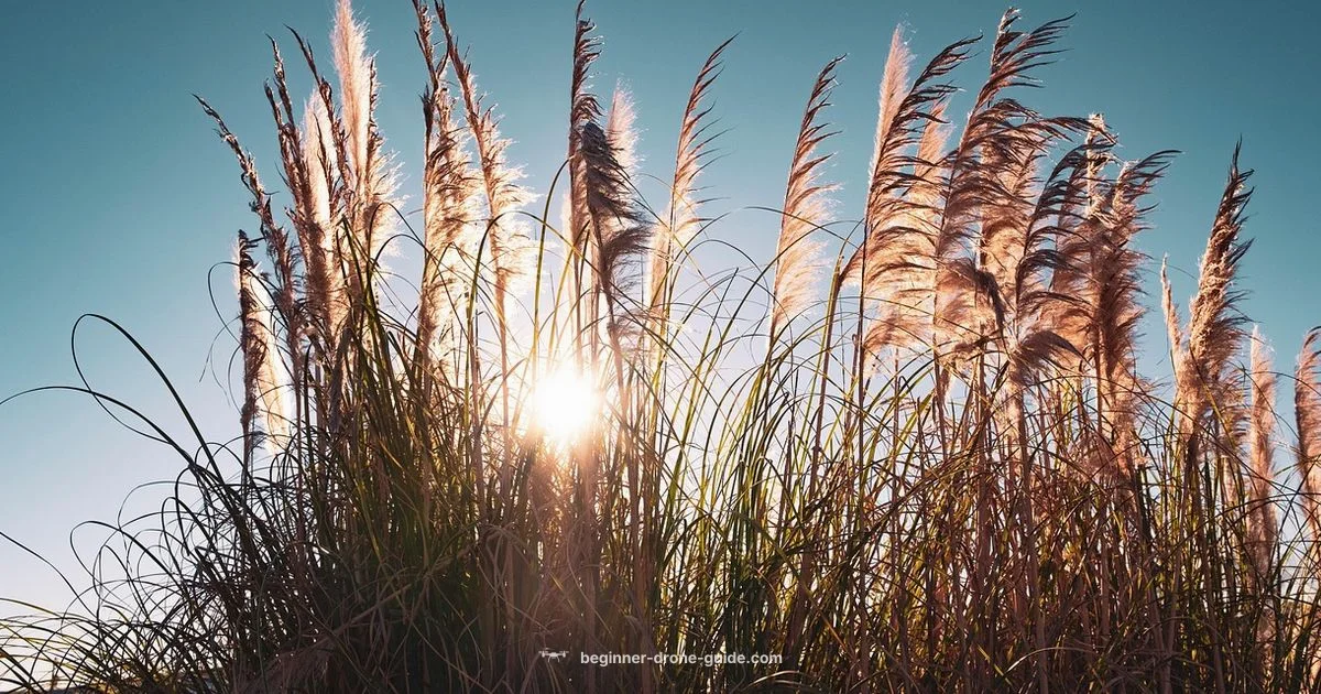 Air 3S Overview - Beginner Drone Guide