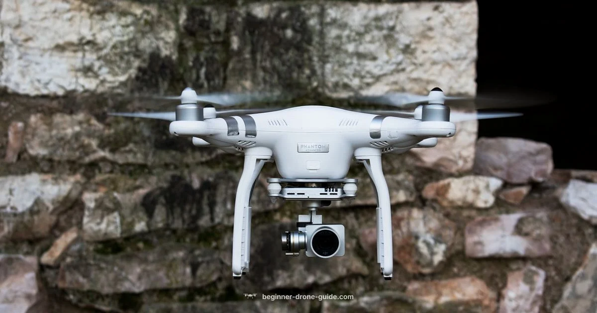 Top Drone Brands 2026 - Beginner Drone Guide