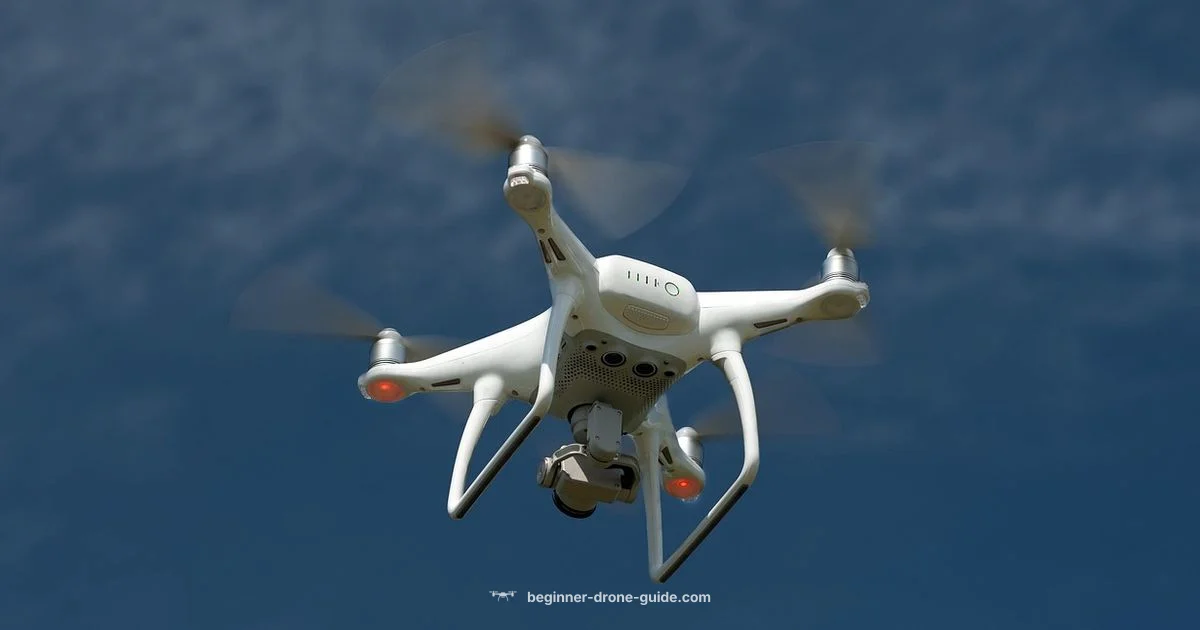 Camera Drone Guide - Beginner Drone Guide