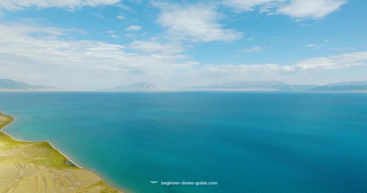 Drone Show Tech - Beginner Drone Guide