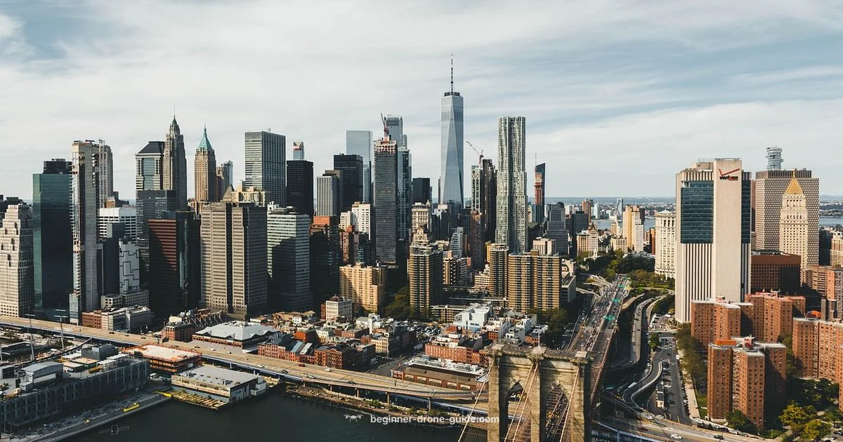 Local Drone Services - Beginner Drone Guide