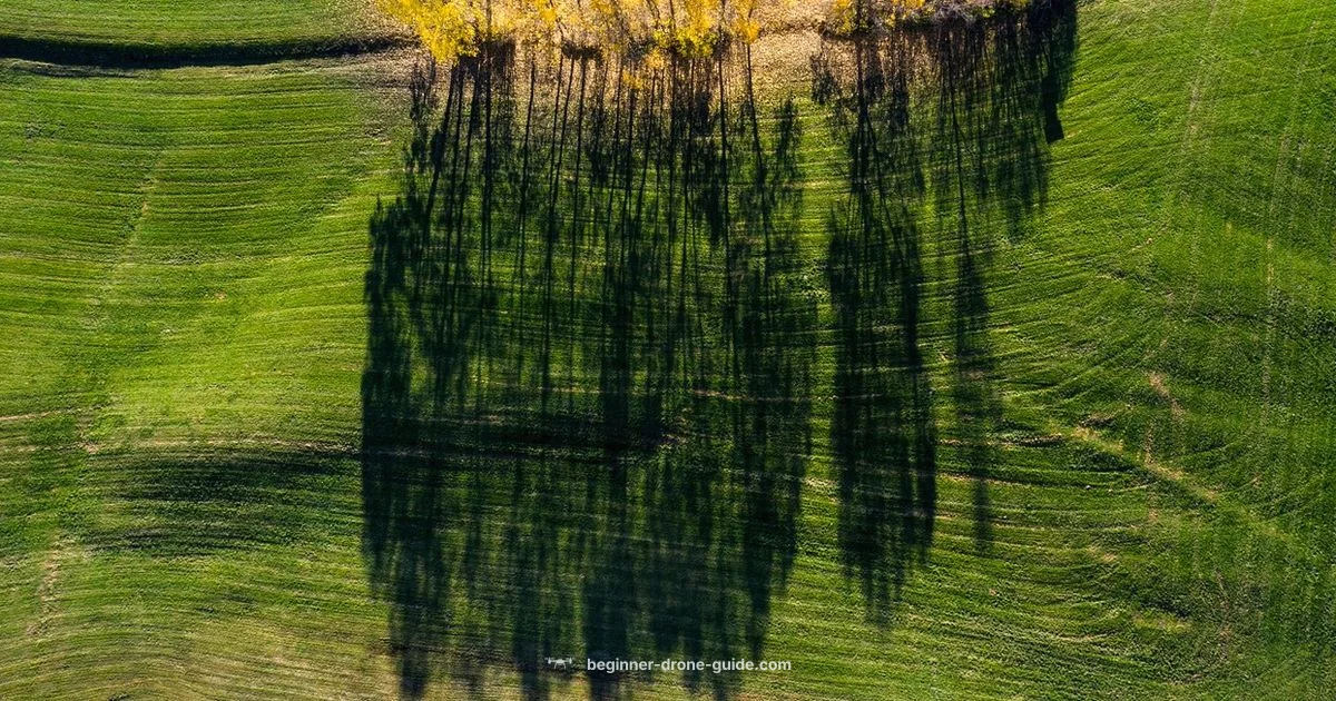 Beginner Mavic Guide - Beginner Drone Guide