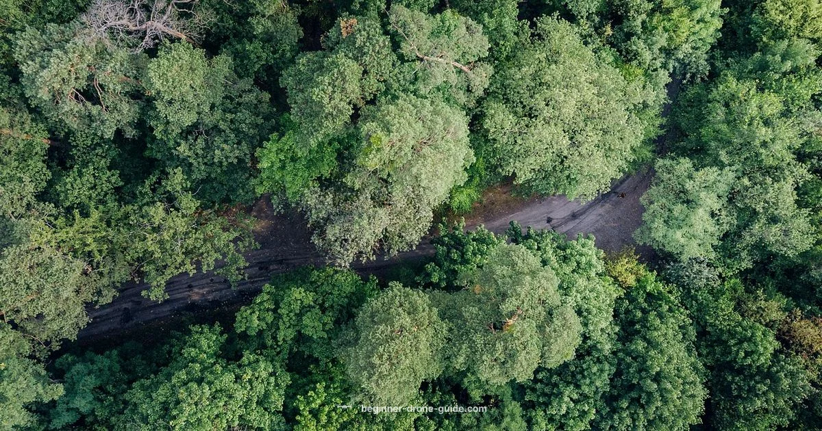 In Car Drone In Car Drone - Beginner Drone Guide