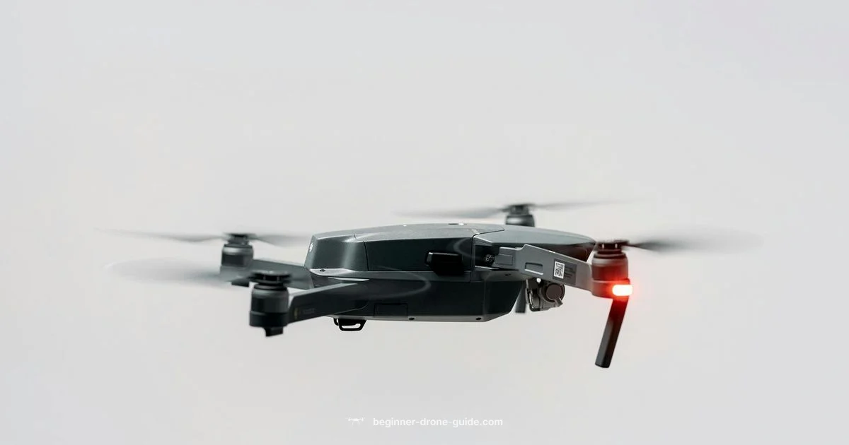 Drone Licensing Path Drone Licensing Path - Beginner Drone Guide