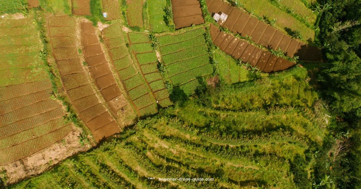 Applications in Practice - Beginner Drone Guide