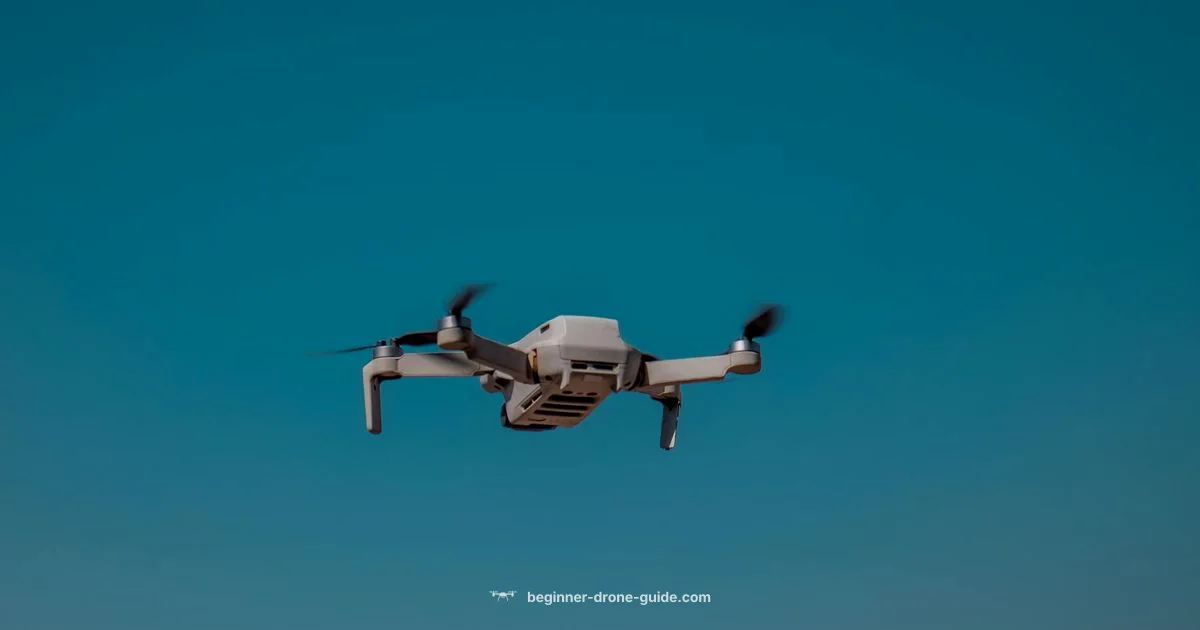 Phantom Guide - Beginner Drone Guide