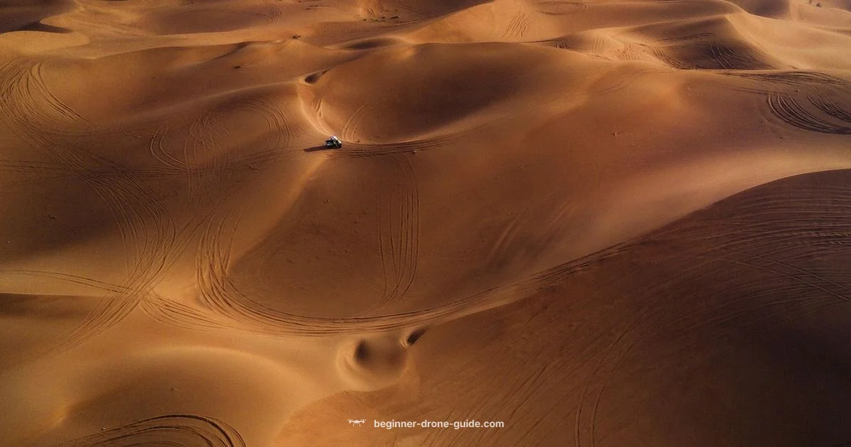 Iranian Drones Guide - Beginner Drone Guide