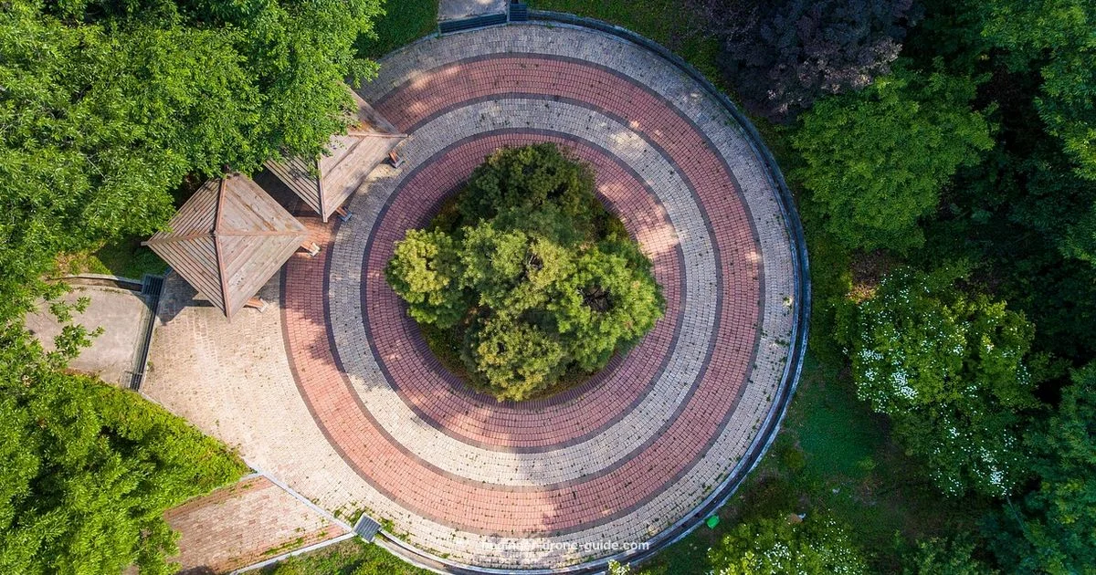 License Basics - Beginner Drone Guide