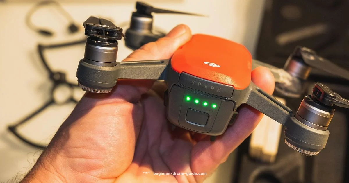 Multispectral Drone Guide - Beginner Drone Guide