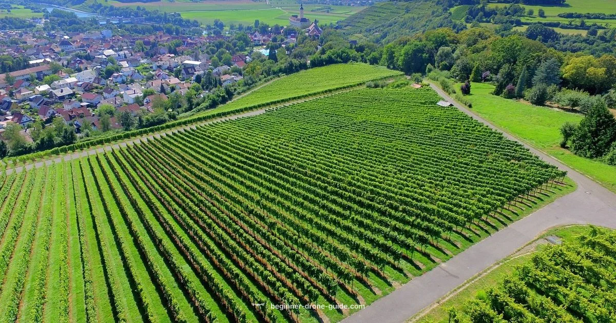 Sky Photo Setup - Beginner Drone Guide