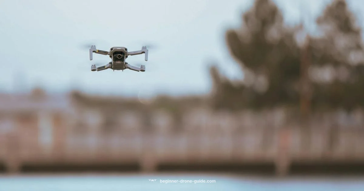 Disassembly Drone Overheating Disassembly Drone Overheating - Beginner Drone Guide