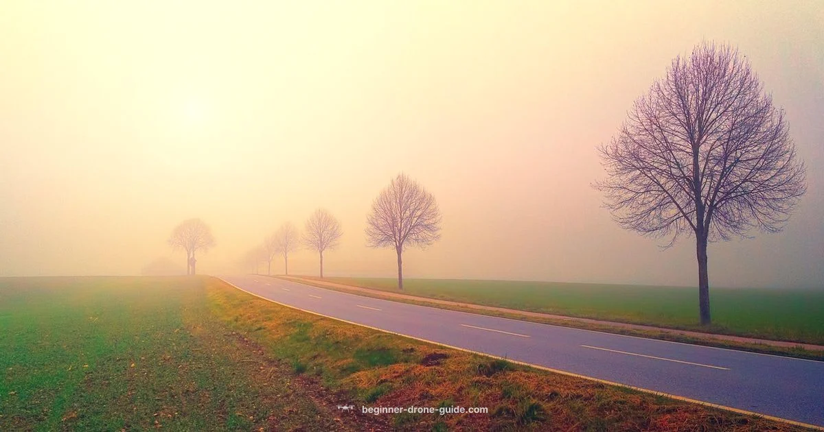 Beginner Drone Guide Beginner Drone Guide