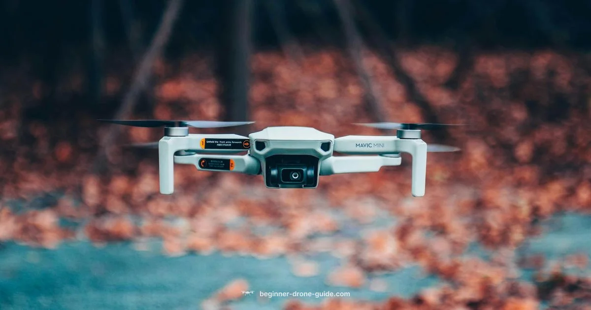 Beginner Drones - Beginner Drone Guide