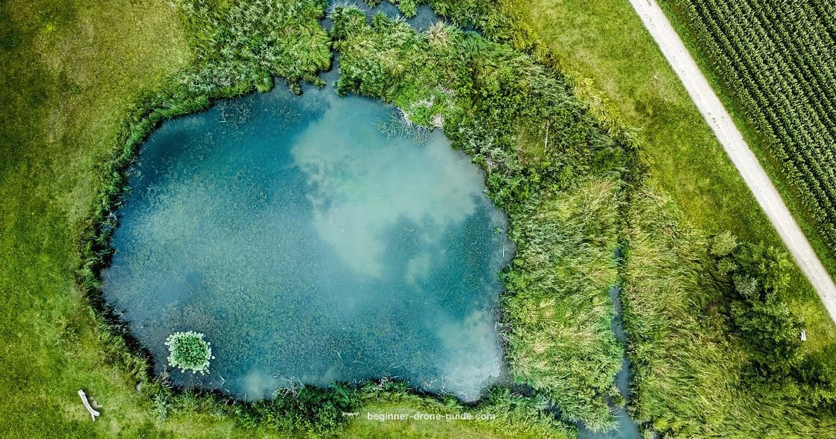 Smart Flight Basics Smart Flight Basics - Beginner Drone Guide