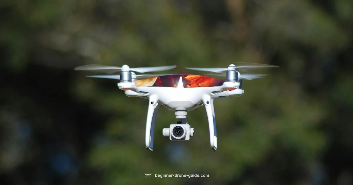 Phantom 3 Standard - Beginner Drone Guide