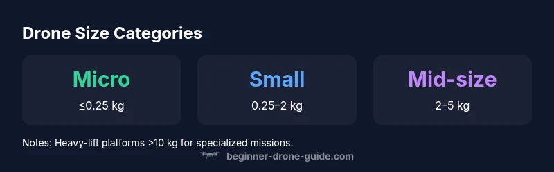 Infographic showing micro, small, mid-size, and heavy-lift drone sizes and typical uses