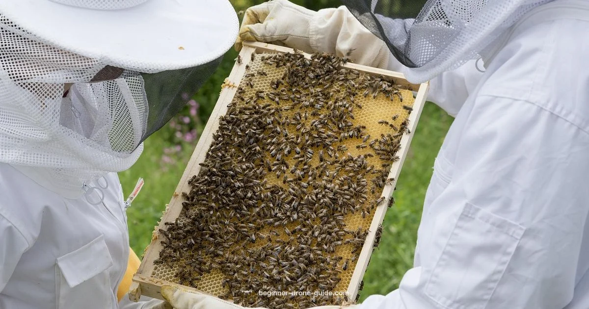 Drone Bees Guide Drone Bees Guide - Beginner Drone Guide
