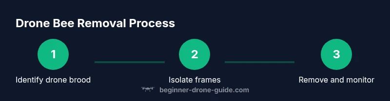 Process infographic showing steps to remove drone bees