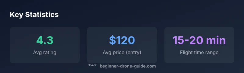 Key statistics infographic about buying beginner drones on Amazon