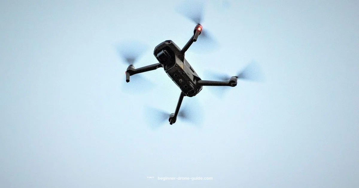 Beginner Drone Tasks - Beginner Drone Guide