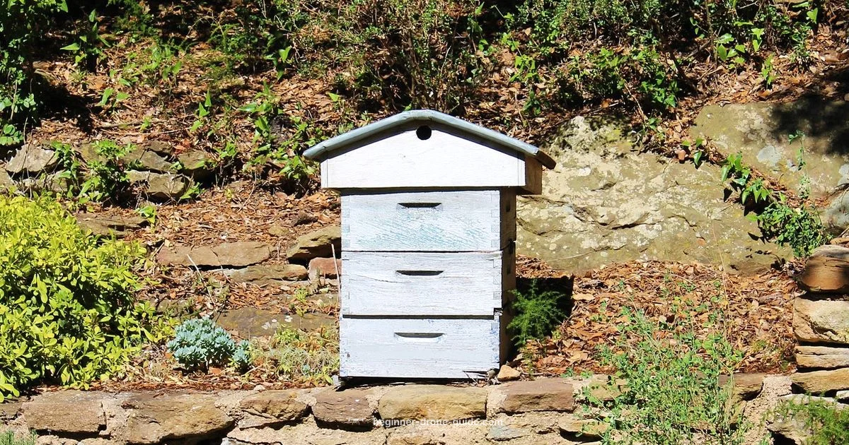 Drone Opposite Gender - Beginner Drone Guide