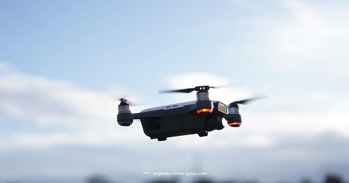 Compact Power for Beginners Compact Power for Beginners - Beginner Drone Guide