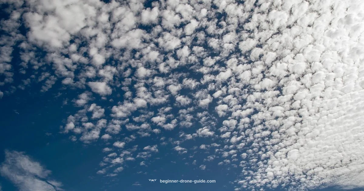 Drone Rules Guide - Beginner Drone Guide