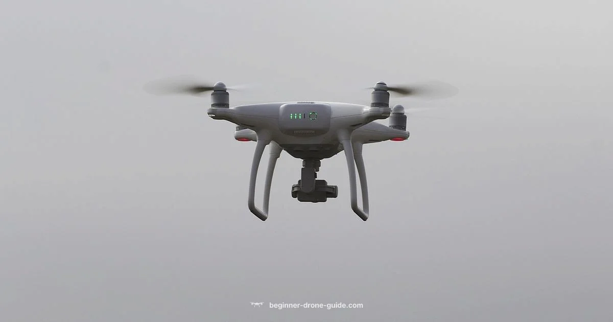 Human Lift Feasibility - Beginner Drone Guide