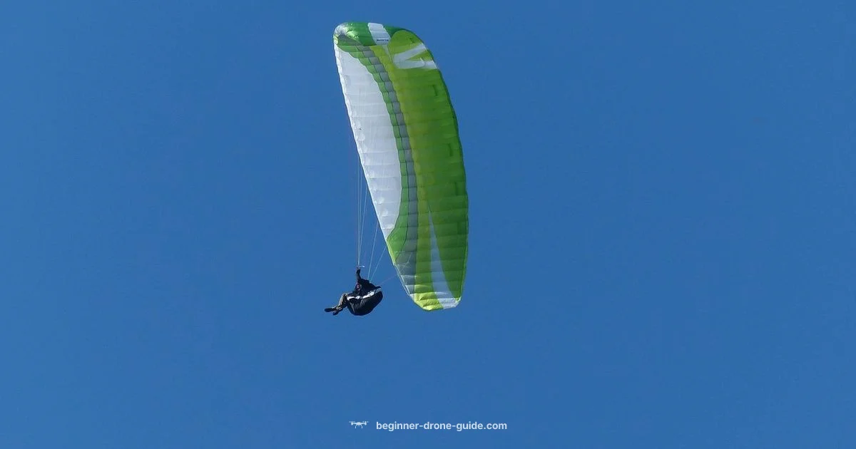 Thermal Drone Guide - Beginner Drone Guide