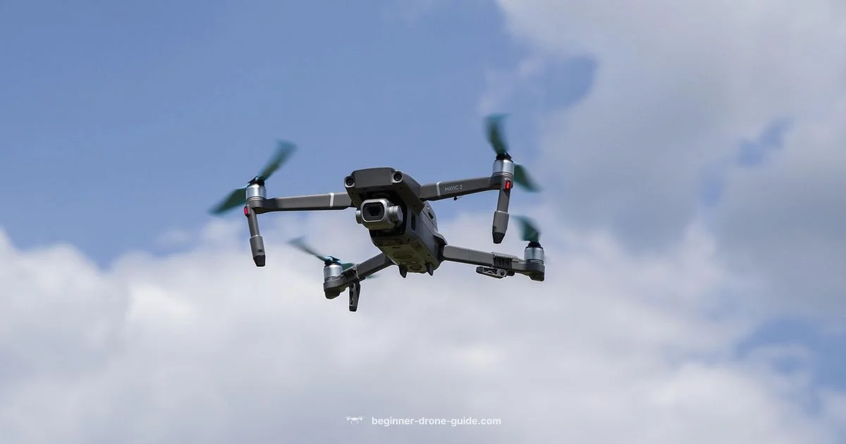 Drone Type Guide - Beginner Drone Guide