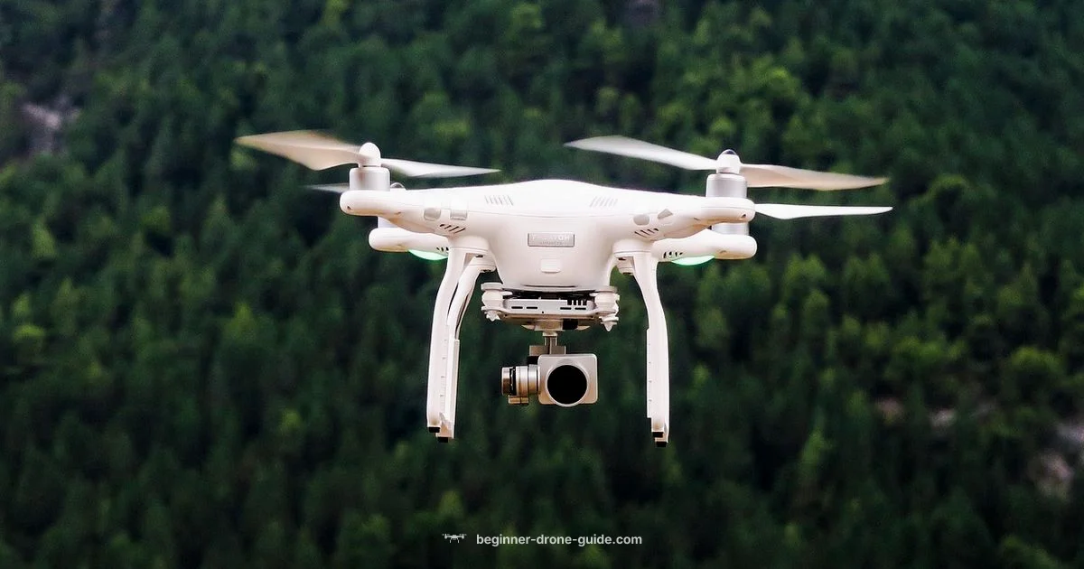 Drone Invention Timeline - Beginner Drone Guide