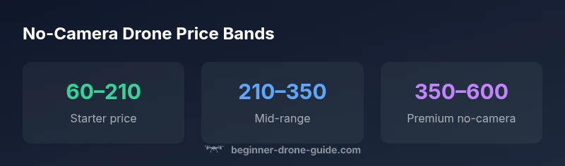 Infographic showing price bands for drones without cameras: starter, mid-range, premium