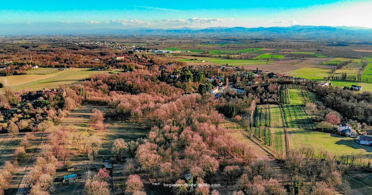 Return to Home Basics Return to Home Basics - Beginner Drone Guide