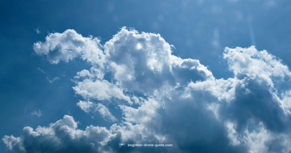 FAA Drone Zone Guide FAA Drone Zone Guide - Beginner Drone Guide