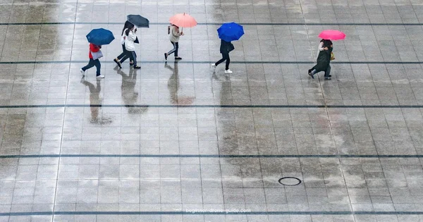 Rain Ready Flight - Beginner Drone Guide