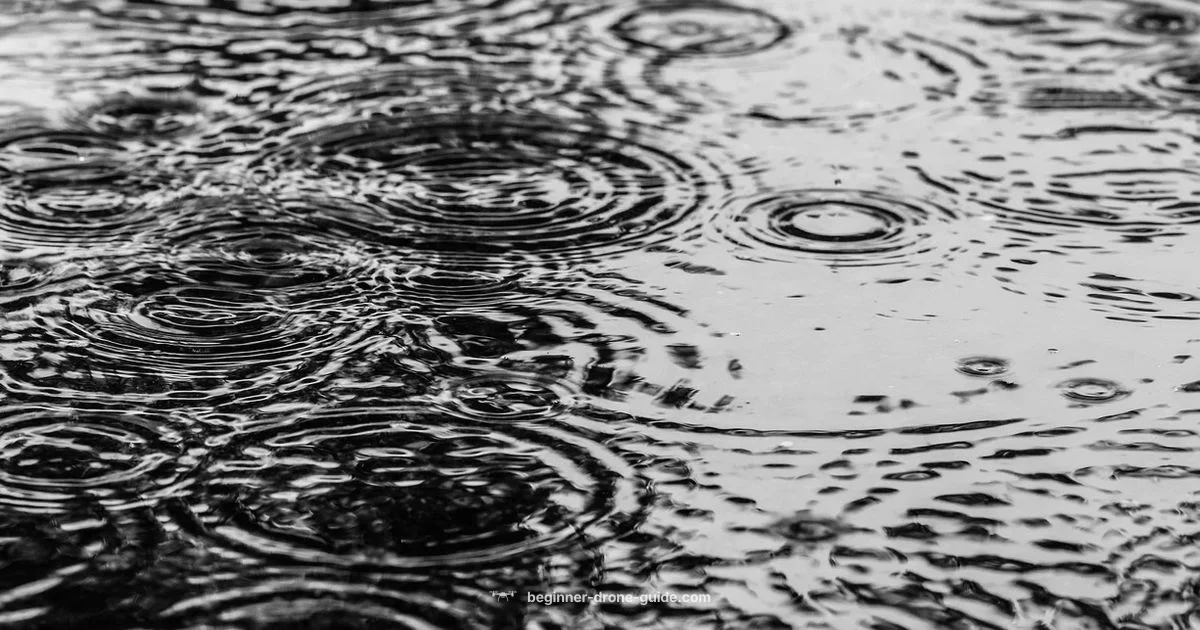 Wet Weather Drones - Beginner Drone Guide