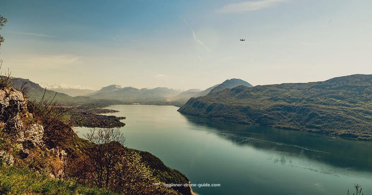 Drone Investment Drone Investment - Beginner Drone Guide