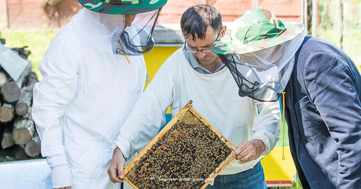 Bees and Drones Bees and Drones - Beginner Drone Guide