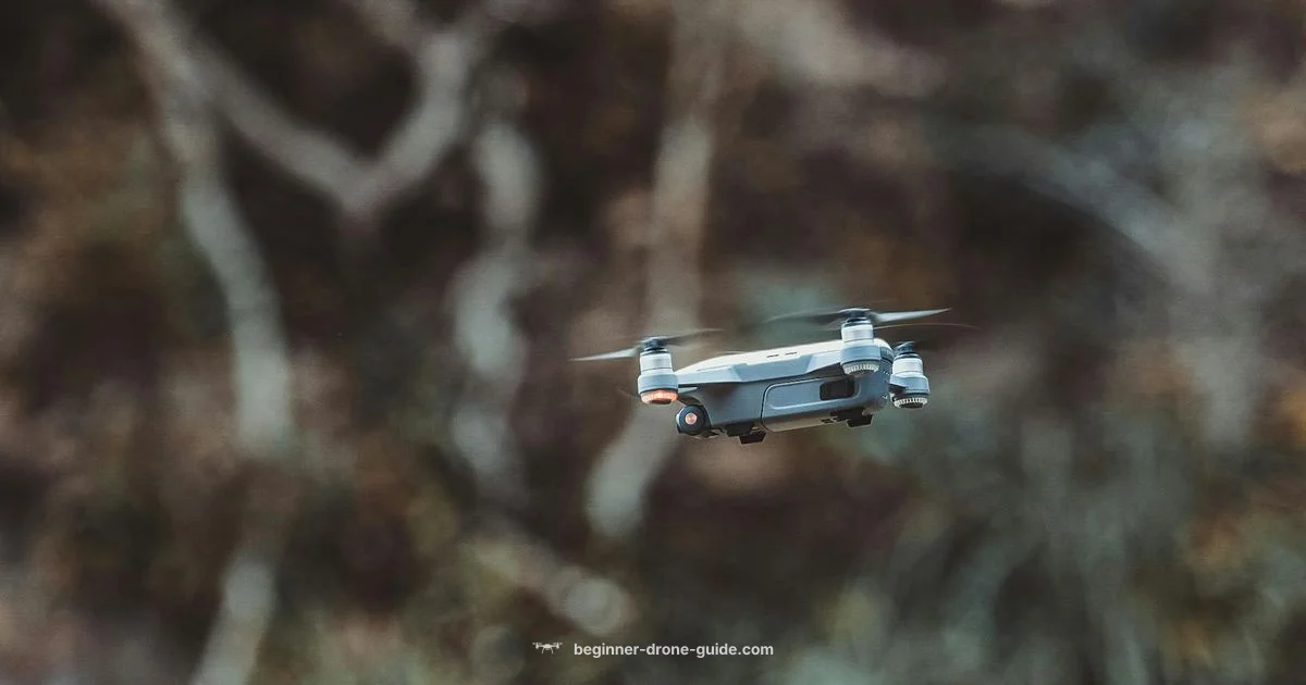 Jammer Drone Guide Jammer Drone Guide - Beginner Drone Guide