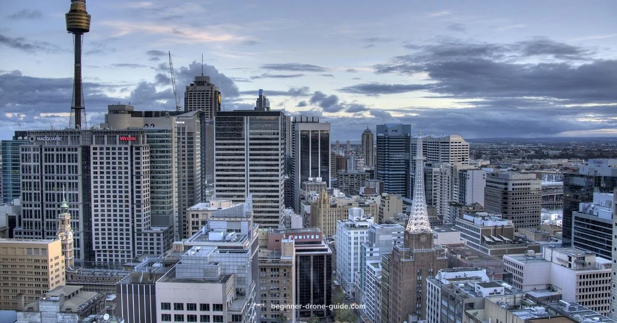 Drone Money Guide - Beginner Drone Guide