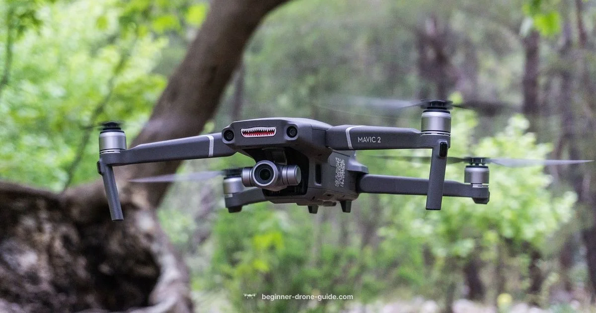 Learn to Fly Learn to Fly - Beginner Drone Guide