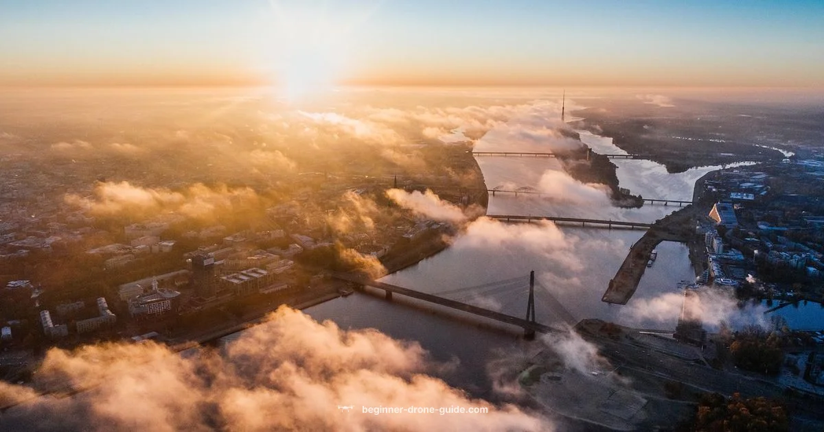 Drones in Sight Drones in Sight - Beginner Drone Guide