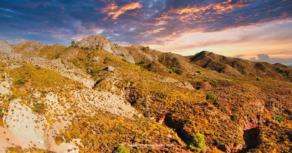 Beginner Drone Guide