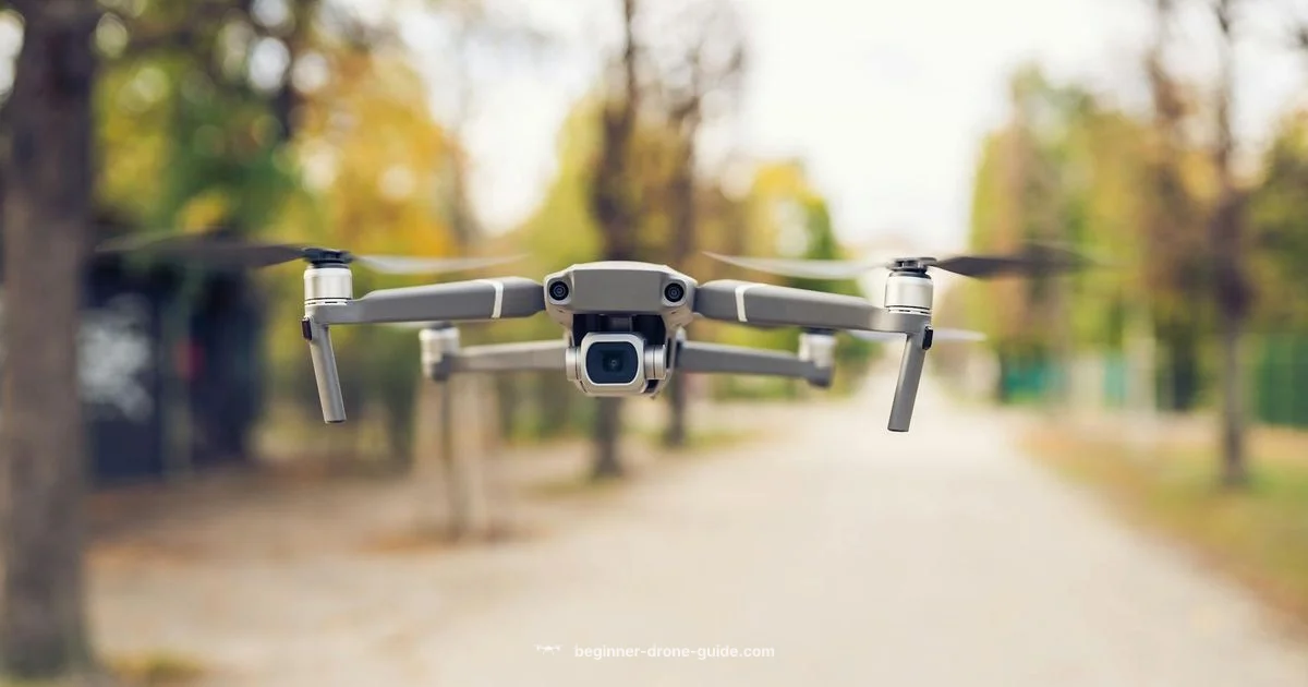 Who Makes Drones - Beginner Drone Guide