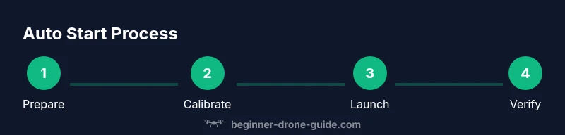 Process diagram for drone auto start steps