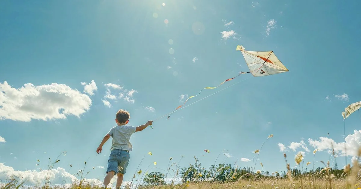 Drone and Aircraft Definition - Beginner Drone Guide