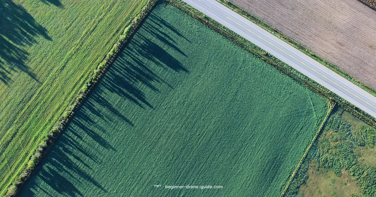 Crash Response Guide - Beginner Drone Guide